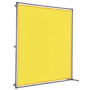 nڎՌtFX 2020^Eڑ Œ葫^Cv  gXR YFASK-B