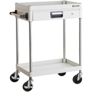 tFjbNXS 600×400 ^1iot OO[ [J[i ԏn s gXR PEW-962Z-YG