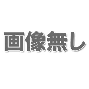 『ステン用SLD』 ダクト直刃480 (本職用金切鋏) 種光 No.8133