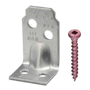 IK[ X[R[i[2(1E100i) i ^iJ AA3107