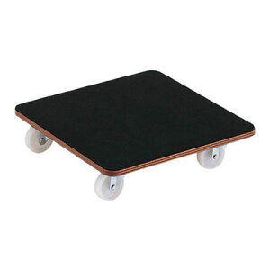 ԁuveBJSviSEiCLX^[^Cvj450×450mm [J[ s gXR PCG-4545
