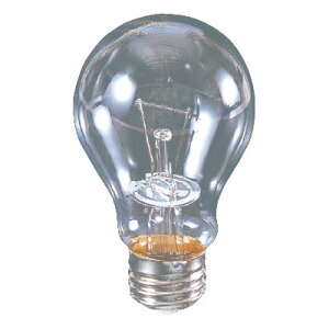 �ϐk�N���b�v�����v�p������ 110V(100W) ���� CT-100