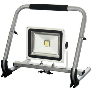 LEDエコナイター30W 本体白 昼白色 マルチスタンド 日動 LEN-30MS