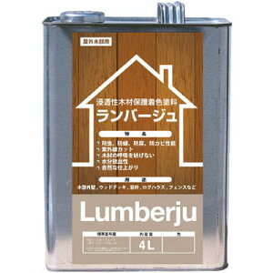 �����o�[�W���X�^���_�[�h �V���o�[�O���C 4L (4���i) ABC���� LJ4L-N-SG