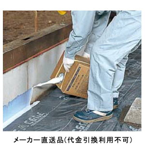 A_A܃zCgIIW 11ʉi tNrw ARAW10L