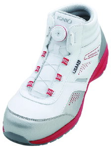 Z[teBV[Y A zCg 27.5cm IGNIO IGS1058TGF