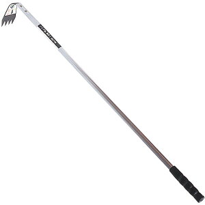 pCv  800~ i GS(L{V) 1593