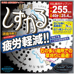 Jy`bv\[  OaF255mm nF40P  i ֐m T-S2010