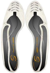 GA [rOC\[ ~ M[^Cv fB[X i ^JCN AMR-2 (~ ~  C NbV rWlX EH[LO X|[c gbLO J y C