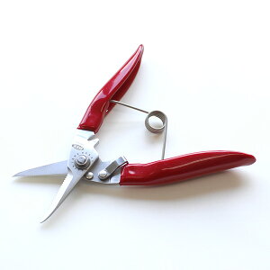 yz\ Xe XeX| MKK(gR}) BHK-180 ( \͂ C j؂ nG JLI  C ނ )