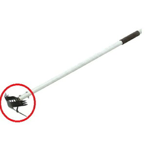 X[p[}`z[N kbL[ p֐n tW|