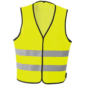 FSxXg(}WbN) CG[ LL i R[RX CS-2409