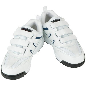 Z[teB[Xj[J[ zCg 29.0cm i R[RX A-36000