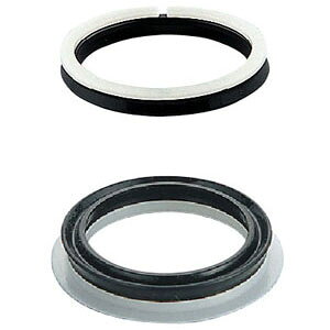 OVpbL(2R) i KVK KPS1319