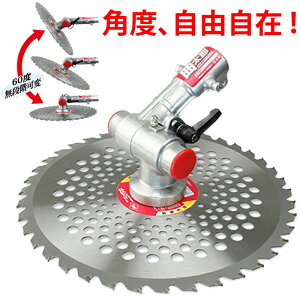 @pA^b`g ȑY jVKL N-798 ( MP[X ւ px 60°`bv\[  iK y o[ ȒP  J y  )