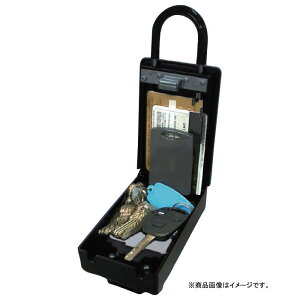 {^ L[XgbN i mebN NS-1267