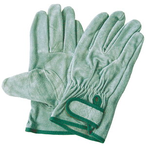 v IC }WbN  Ǝ v 120oi i j[h No.116-10P ( y z S g d@^] ז ^] _ ы jH K[fjO OLv v )