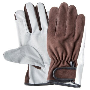 ؊v Lkn NEWt@Co[ nCubh }Oi MTCY i j[h No.2730 ( y z S g d@^] ז ^] _ ы jH K[fjO OLv 