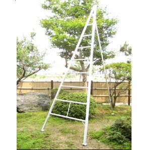 A~Or MSL^Cv(Vt^) 11 L^Cv(W) 󒍐Yi [J[ ls ~c 11MSL