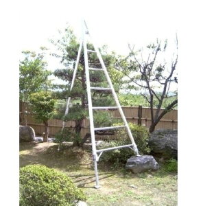 A~Or 3_XCh^Cv M-3 Vt^ 12 L^Cv(W) 󒍐Y[J[ ls ~c 12M-3