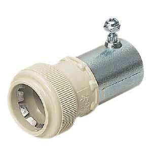 CPA_v^[(^b`^)PF16̔|19 (100i) H(MIRAI) FPCP-16Y