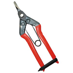 ߐ S-230 c ɋȐn BP i ߐ ( Ő Ŋ Ő | )