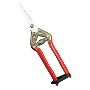 ߐ T-55SKF XeXR BP i ߐ (  ʎ n } ؂)