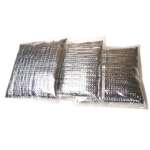 ۗ3 (pACXxXgucoolp) i ~YPC 8130516 (MǑ΍ ΍ Ђ O x SxXg ƃxXg p ۗ)