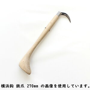 Oؖ؍H lb S b  ̒ 390mm ؐ 󒍐Y m[uh arde6209015 ( 肩 JM Ă ͊ s  {Y _ ^ ׎J ז ނ mR ̂ )