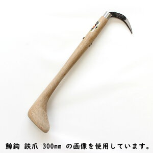 Oؖ؍H ~b NWb S N[ b  ̒ 450mm ؐ 󒍐Y m[uh arde6209058 ( 肩 JM Ă ͊ s  {Y _ ^ ׎J ז ނ m