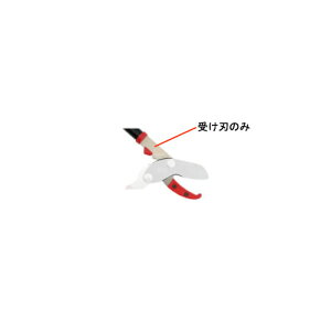 UNg}p󂯐n(bh) i Oz 1215 (y }  }  ɂ   MA ₷ 悭؂)