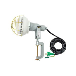Ɨp GRrbNLED A[Xt (tg^Cv)2PNCT 10m 40w F i  AFL-E4010JPN ( ƗpCg)