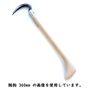 Oؖ؍H b }Ob S N[ b  ̒ 390mm ؐ 󒍐Y m[uh arde6209082 ( 肩 JM Ă ͊ s  {Y _ ^ ׎J ז ނ m