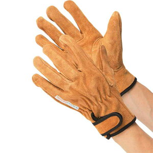  {vv~A IC xg L(LTCY) i j[h KS-818 ( y z S g d@^] ז ^] _ ы jH K[fjO ו z O