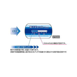 `FbJ[i101gj i {Ώ\ 375344 ( CtPA Sg ob` MǑ΍  AEghA )