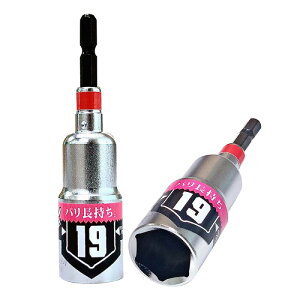 ^p[\Pbg 19mm i xXgc[ BDSP-19 ( H   S H gݗ )