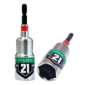 ^p[\Pbg 21mm i xXgc[ BDSP-21 ( H   S H gݗ )