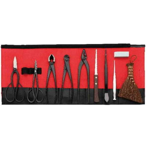 ~10_Zbg i va 2997 ( ~͓ 蓹 )