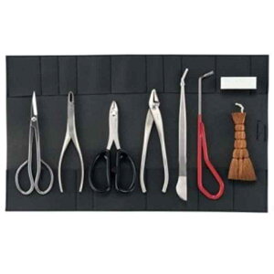 XeXi~8_Zbg i va 3063 ( ~͓ 蓹 )