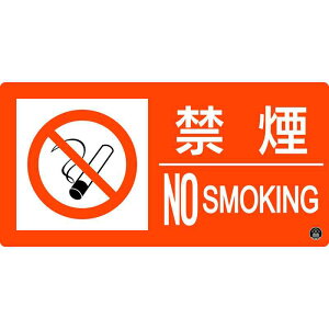 hW ։ENOSMOKING h-6A 150×300mm Gr i {Ώ\ 059106 ( s΍З\h )