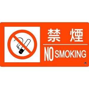 hW ։ENOSMOKING h-6B 250×500mm Gr i {Ώ\ 059206 ( s΍З\h )