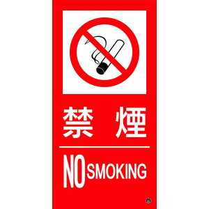 hWXebJ[ ։ENOSMOKING h-15B 500×250mm i {Ώ\ 059215 ( s΍З\h )