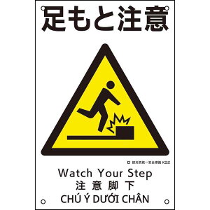 ЖhSW ƒ KS2 450×300mm |vs i {Ώ\ 081002 ( KS2 )