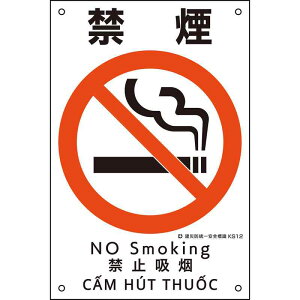 ЖhSW ։ KS12 450×300mm |vs i {Ώ\ 081012 ( KS12 )