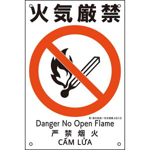 ЖhSW ΋C KS13 450×300mm |vs i {Ώ\ 081013 ( KS13 )