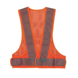 bV˃xXg ˕70mm uIWbVn/Vo[ ybVxXg70-KO i {Ώ\ 238283 ( bV˃xXg bVxXg SxXg ˃xXg ʋC