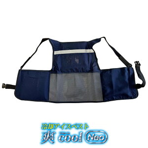 pACXxXguucool vNeo (xXĝ݁Eۗܖ) i ~YPC 5501907 ( MǑ΍ ΍ Ђ O x SxXg ƃxXg p ۗ )