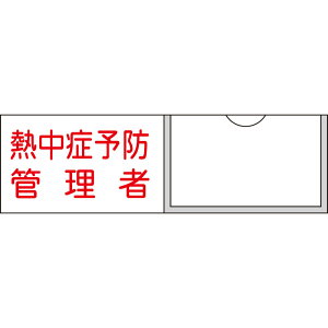 ǗҎW MǗ\hǗ 41 30×100mm D i {Ώ\ 046041