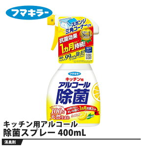 t}L[ Lb`pAR[ۃXv[ 400mL i t}L[