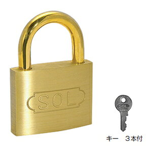 �V�����_�[�싞���y���Ⴂ�z 30mm(1���i) SOL HARD NO.2500